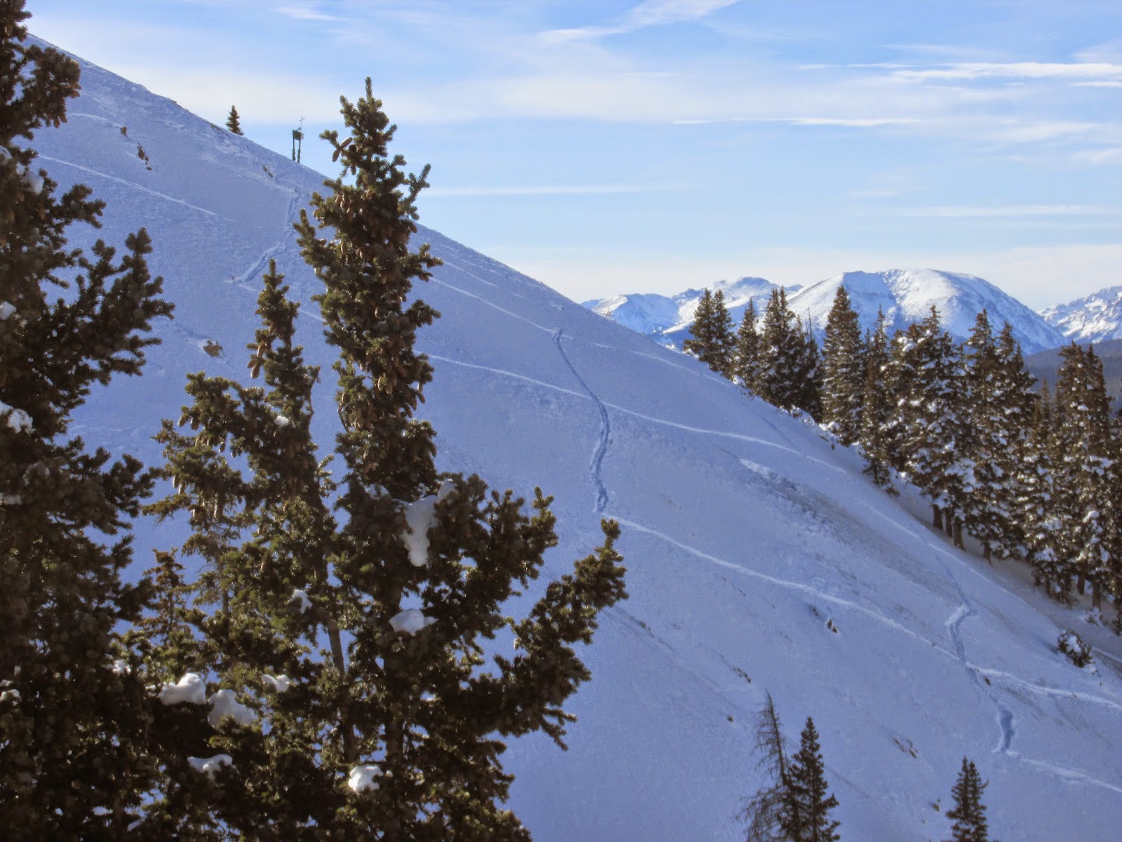 Al's Blog Ski Cutting What, Why, How?